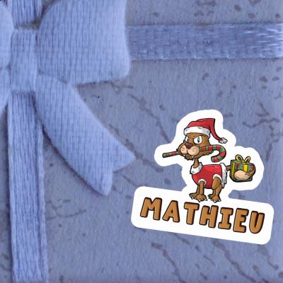 Chat Autocollant Mathieu Gift package Image