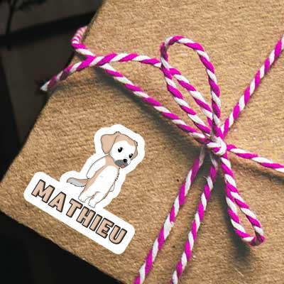 Mathieu Aufkleber Golden Retriever Gift package Image