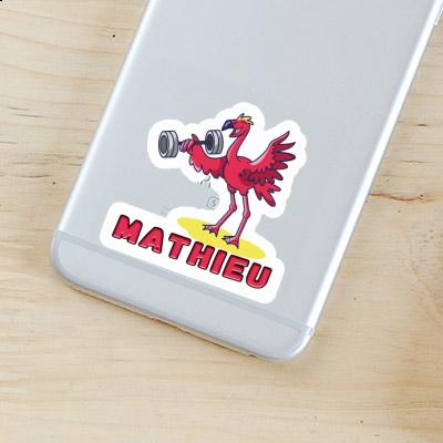 Autocollant Mathieu Flamant rose Gift package Image