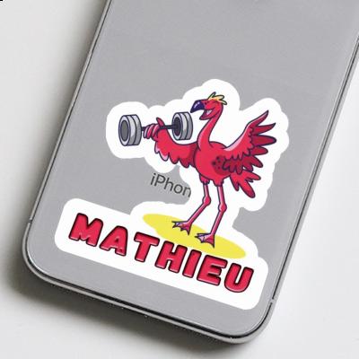 Autocollant Mathieu Flamant rose Gift package Image