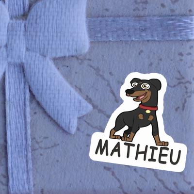 Mathieu Autocollant Pinscher Gift package Image