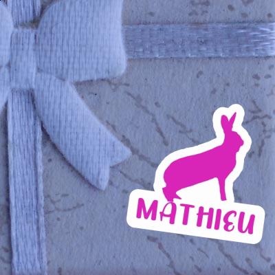 Mathieu Autocollant Lapin Gift package Image