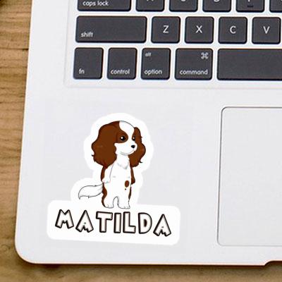 Sticker Cavalier King Charles Spaniel Matilda Notebook Sticker Cavalier King Charles Spaniel Matilda Notebook Image
