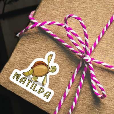Autocollant Tortue yoga Matilda Gift package Image