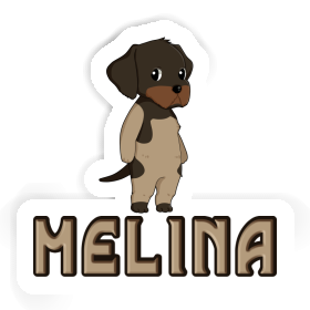 Sticker German Wirehaired Melina Image