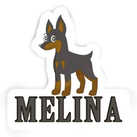 Sticker Pinscher Melina Image