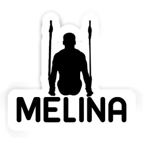 Ring gymnast Sticker Melina Image