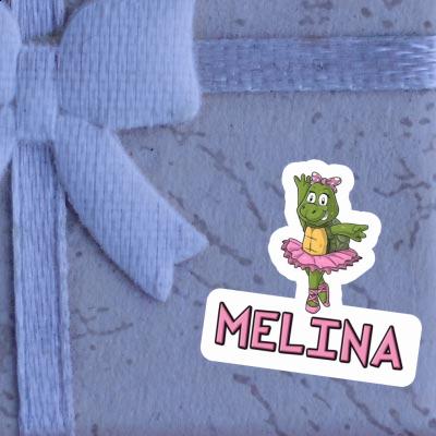 Melina Sticker Schildkröte Gift package Image