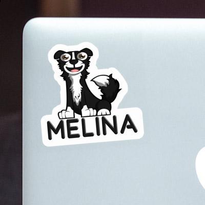 Autocollant Melina Border Collie Gift package Image