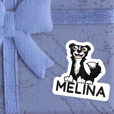 Sticker Melina Collie Gift package Image