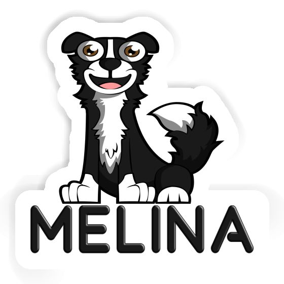 Autocollant Melina Border Collie Image