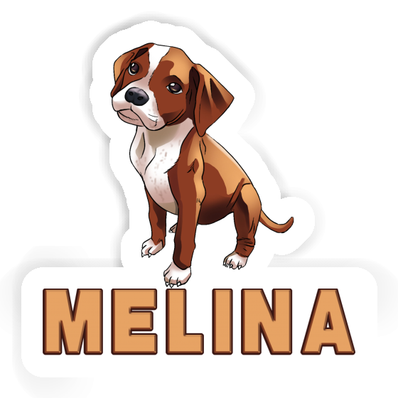 Melina Autocollant Boxer Gift package Image