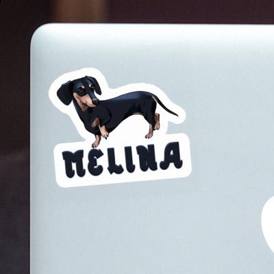 Dachshund Sticker Melina Laptop Image