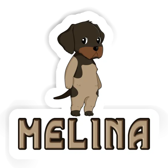 Sticker German Wirehaired Melina Image