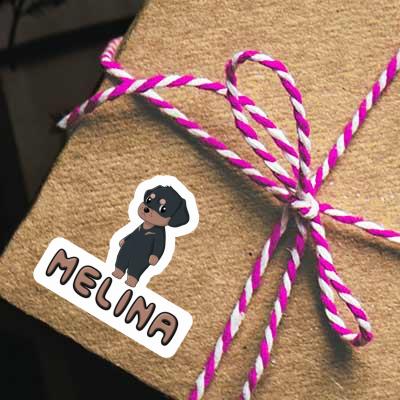 Sticker Rottweiler Melina Laptop Image