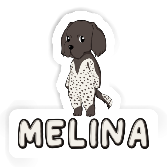 Small Munsterlander Sticker Melina Gift package Image