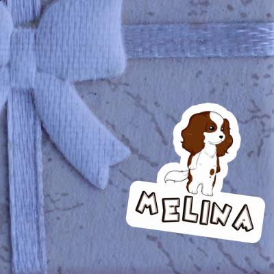 Cavalier King Charles Spaniel Sticker Melina Image