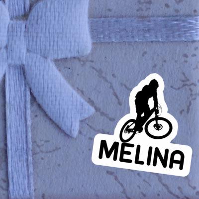 Autocollant Melina Downhiller Gift package Image