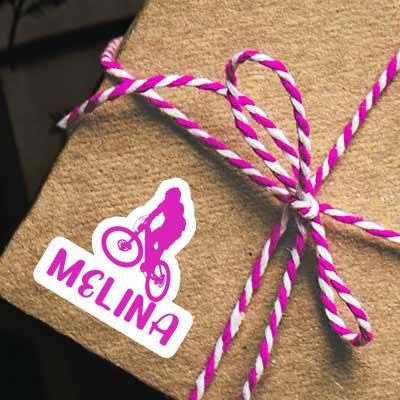 Autocollant Downhiller Melina Gift package Image