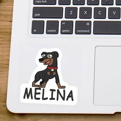 Aufkleber Melina Pinscher Laptop Image