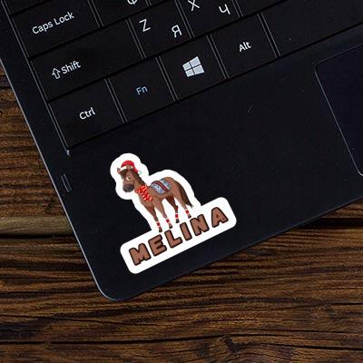 Melina Sticker Horse Laptop Image