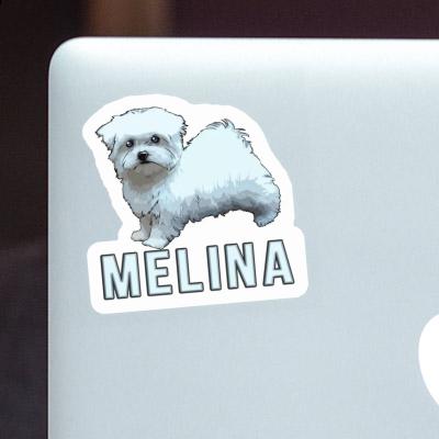 Maltese Sticker Melina Laptop Image