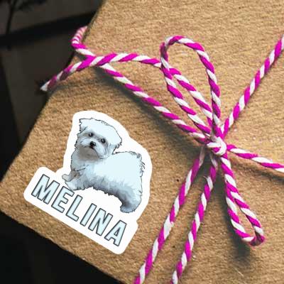 Maltese Sticker Melina Gift package Image