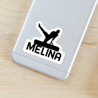 Melina Sticker Gymnast Gift package Image