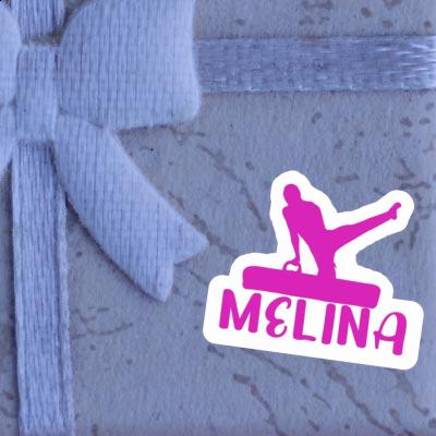 Gymnaste Autocollant Melina Gift package Image