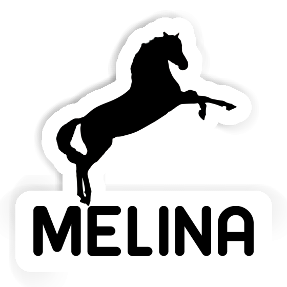 Sticker Horse Melina Gift package Image