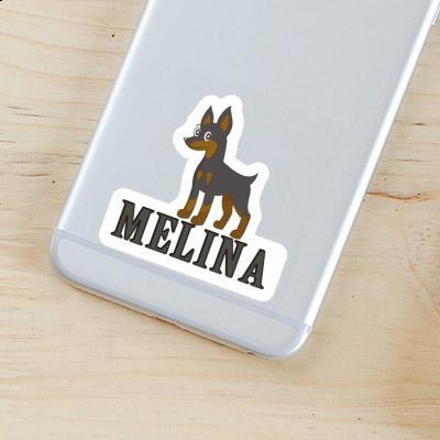 Sticker Pinscher Melina Gift package Image