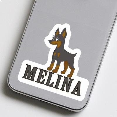 Sticker Pinscher Melina Gift package Image