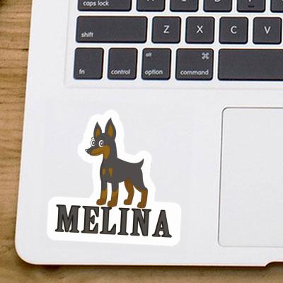 Sticker Pinscher Melina Image