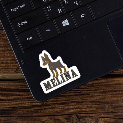 Sticker Pinscher Melina Image