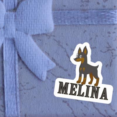 Sticker Pinscher Melina Notebook Image