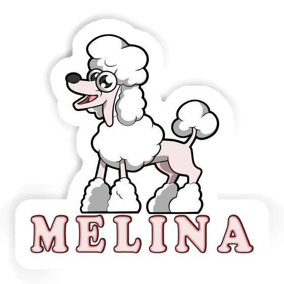 Sticker Poodle Melina Gift package Image