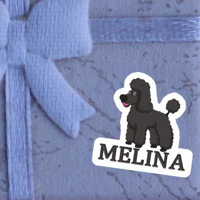 Caniche Autocollant Melina Notebook Image