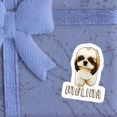 Sticker Shih Tzu Melina Laptop Image