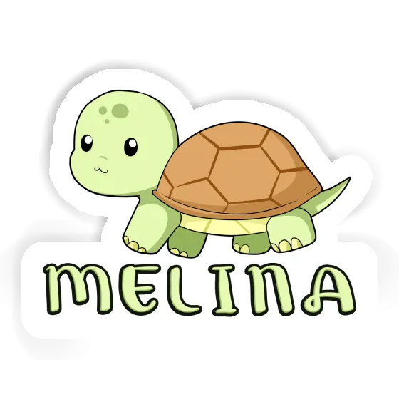 Melina Sticker Turtle Gift package Image