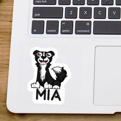 Border Collie Autocollant Mia Gift package Image