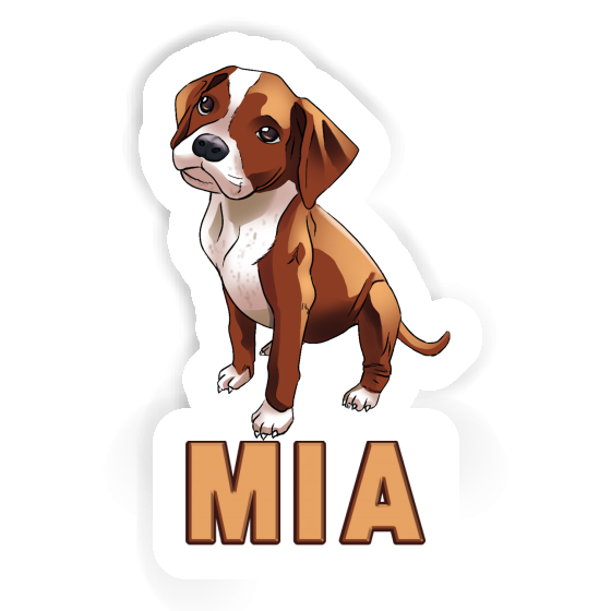 Mia Sticker Boxer Gift package Image