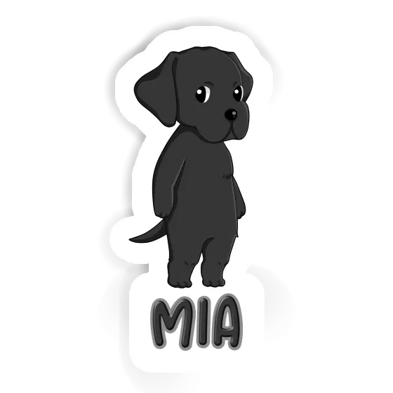 Sticker Labrador Mia Gift package Image