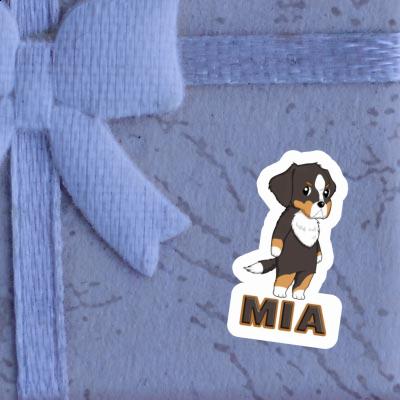 Bouvier bernois Autocollant Mia Gift package Image