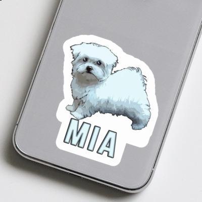 Mia Autocollant Maltais Gift package Image