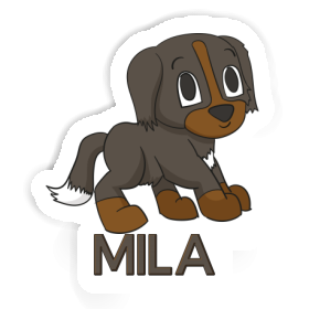 Sticker Mila Bernese Dog Image