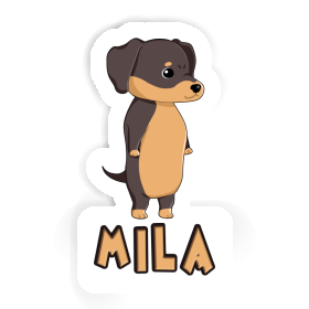 Autocollant Dachshund Mila Image