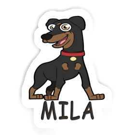 Sticker Mila Pinscher Image