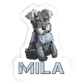 Autocollant Schnauzer Mila Image