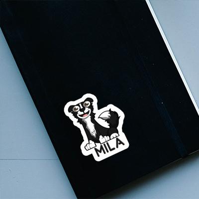 Border Collie Sticker Mila Laptop Image