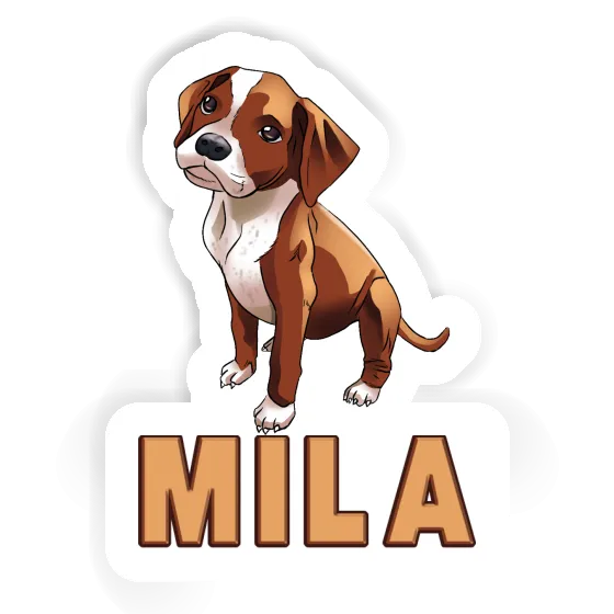 Autocollant Boxer Mila Gift package Image